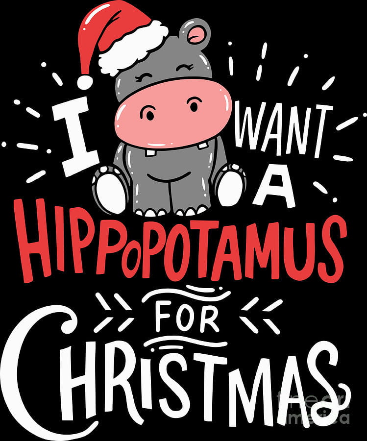 hippo for Xmas